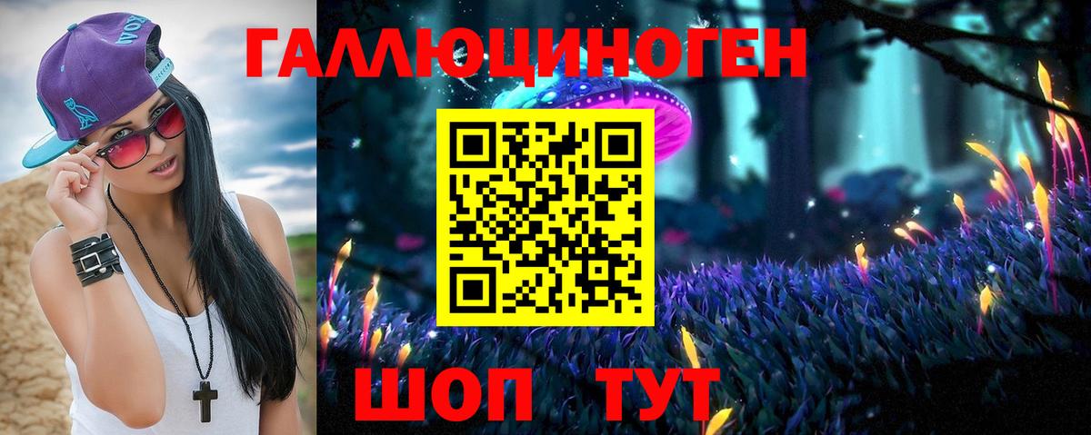 Галлюциногенные грибы Psilocybine cubensis Улан-Удэ